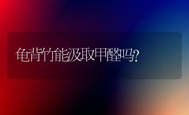 龟背竹能汲取甲醛吗？ | 家庭养花