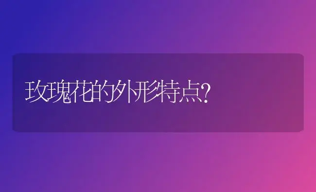 玫瑰花的外形特点？ | 绿植常识