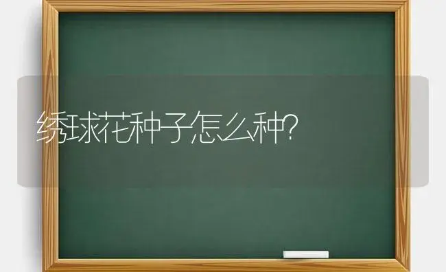 绣球花种子怎么种？ | 绿植常识