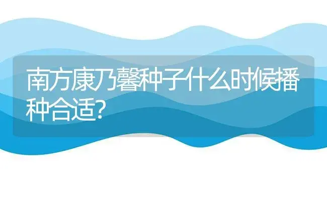 南方康乃馨种子什么时候播种合适？ | 绿植常识