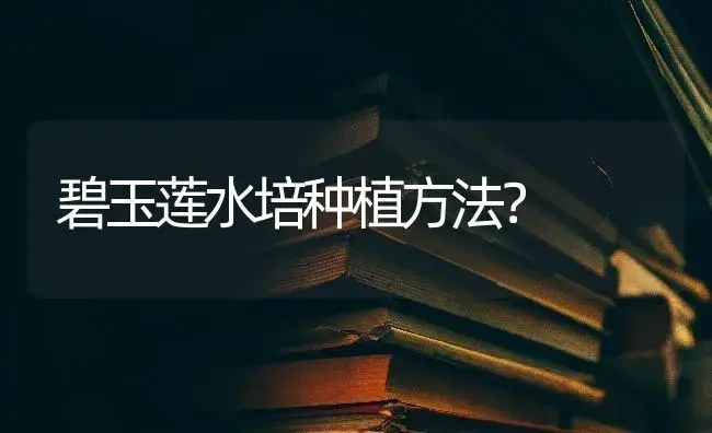 碧玉莲水培种植方法？ | 多肉养殖