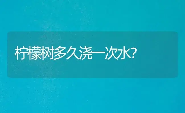 柠檬树多久浇一次水？ | 家庭养花