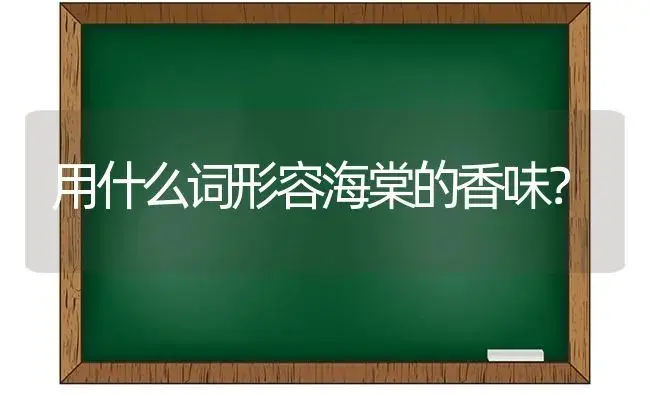 用什么词形容海棠的香味？ | 绿植常识