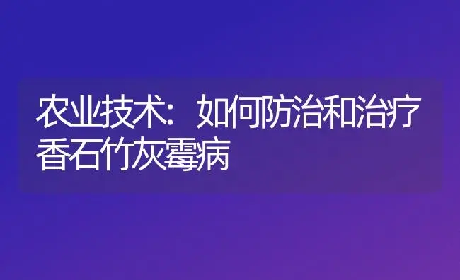 农业技术:如何防治和治疗香石竹灰霉病 | 家庭养花