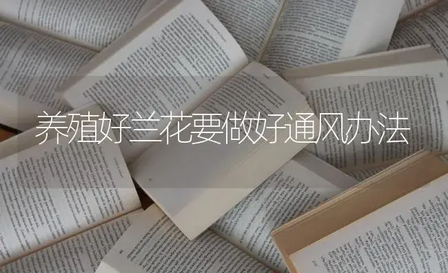 养殖好兰花要做好通风办法 | 特种种植