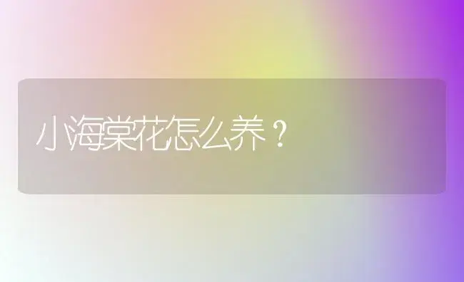 小海棠花怎么养？ | 绿植常识