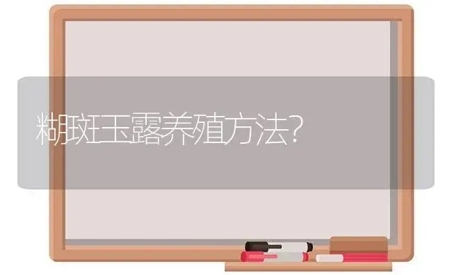 糊斑玉露养殖方法？ | 多肉养殖