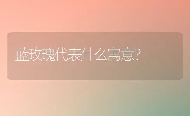 蓝玫瑰代表什么寓意？ | 绿植常识