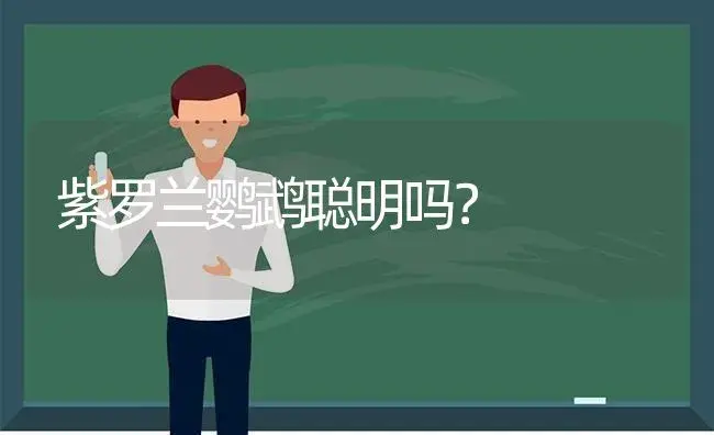 紫罗兰鹦鹉聪明吗？ | 绿植常识