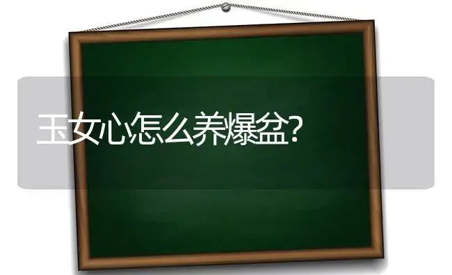 最美多肉植物排行榜？ | 多肉养殖