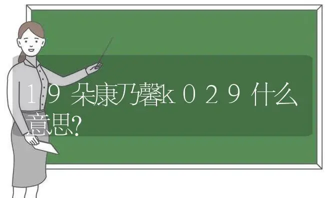 19朵康乃馨k029什么意思？ | 绿植常识