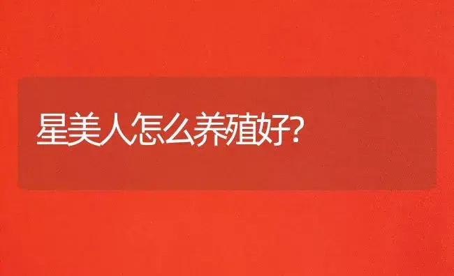 星美人怎么养殖好？ | 家庭养花