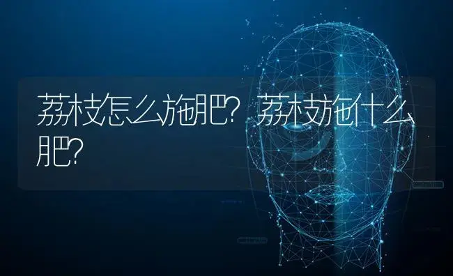 荔枝怎么施肥？荔枝施什么肥？ | 果木种植