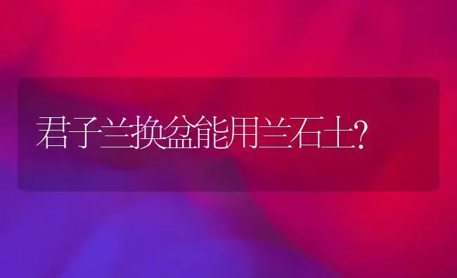 君子兰换盆能用兰石土？ | 绿植常识