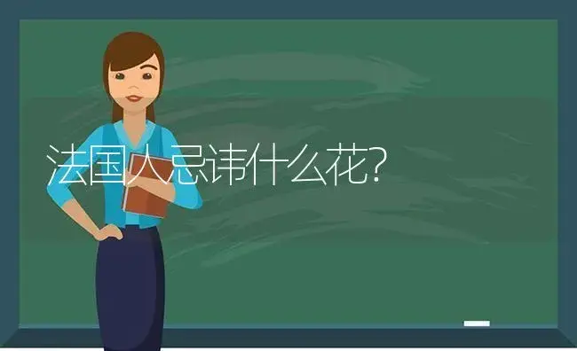 法国人忌讳什么花？ | 绿植常识