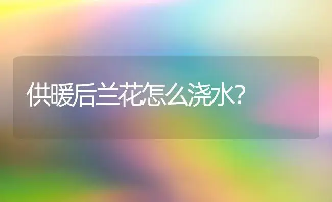 供暖后兰花怎么浇水？ | 绿植常识