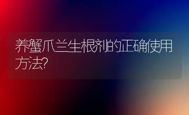 养蟹爪兰生根剂的正确使用方法？ | 多肉养殖