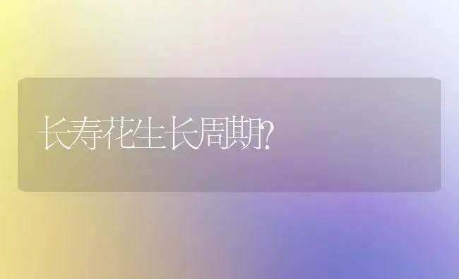 长寿花生长周期？ | 多肉养殖