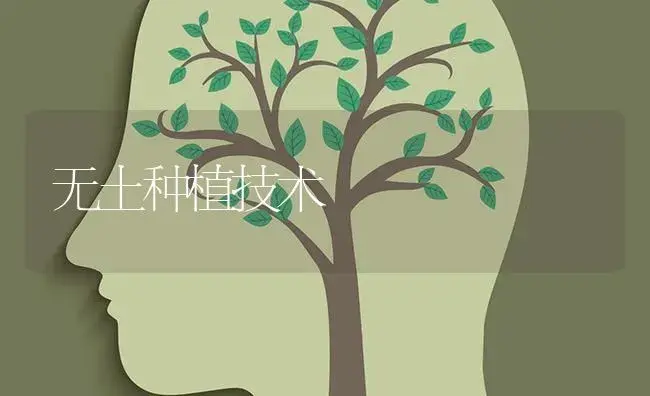 无土种植技术 | 特种种植