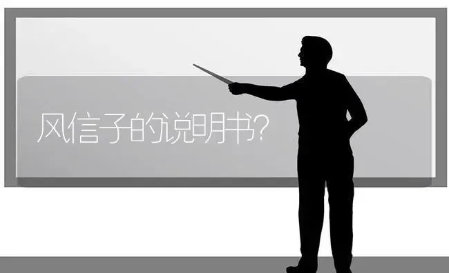 风信子的说明书？ | 绿植常识