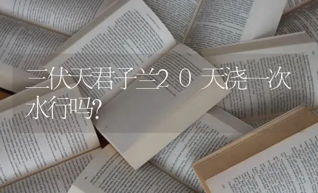 三伏天君子兰20天浇一次水行吗？ | 绿植常识