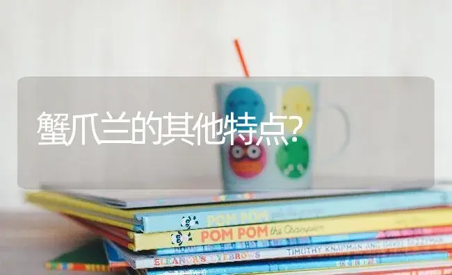 蟹爪兰的其他特点？ | 多肉养殖