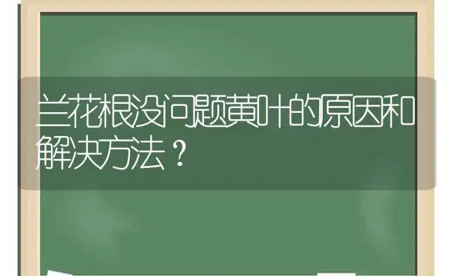 兰花根没问题黄叶的原因和解决方法？ | 绿植常识