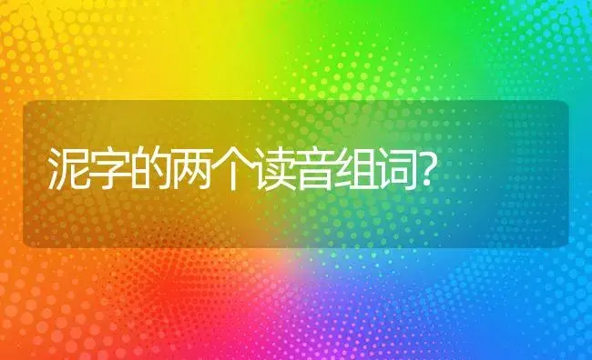 泥字的两个读音组词？ | 多肉养殖