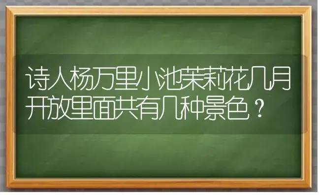 诗人杨万里小池茉莉花几月开放里面共有几种景色？ | 绿植常识