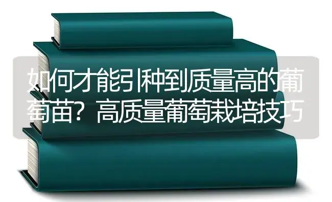 如何才能引种到质量高的葡萄苗？高质量葡萄栽培技巧 | 果木种植