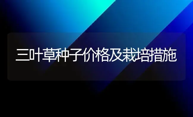 三叶草种子价格及栽培措施 | 家庭养花