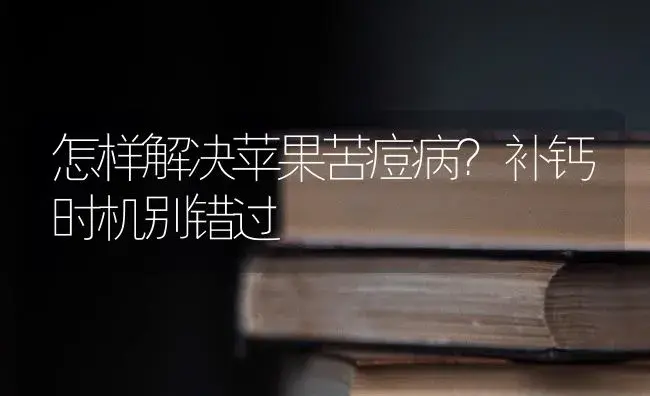 怎样解决苹果苦痘病？补钙时机别错过 | 果木种植