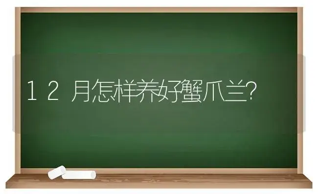 12月怎样养好蟹爪兰？ | 多肉养殖