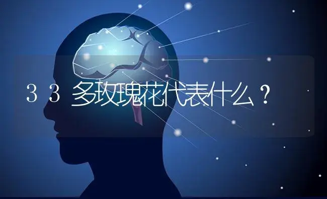 33多玫瑰花代表什么？ | 绿植常识