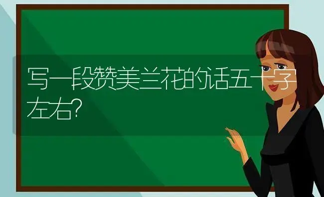 写一段赞美兰花的话五十字左右？ | 绿植常识