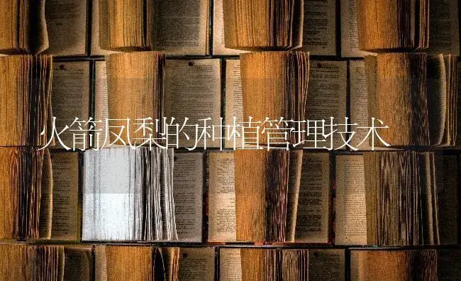 火箭凤梨的种植管理技术 | 特种种植
