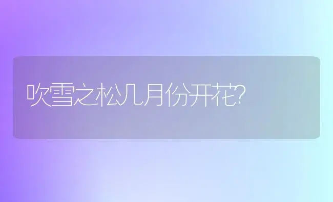 吹雪之松几月份开花？ | 多肉养殖
