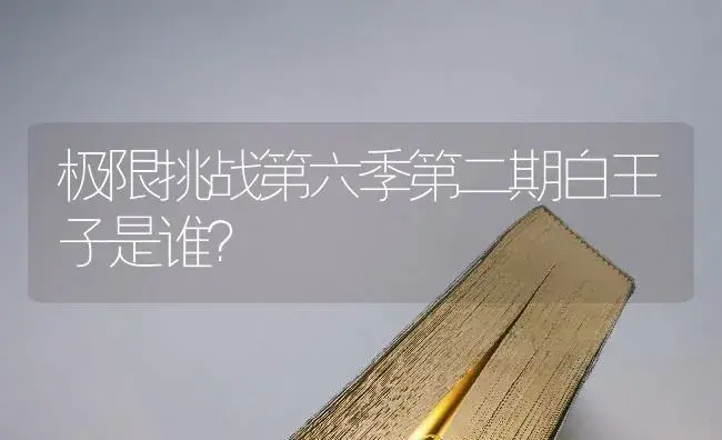 极限挑战第六季第二期白王子是谁？ | 多肉养殖