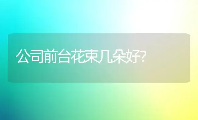 公司前台花束几朵好？ | 绿植常识