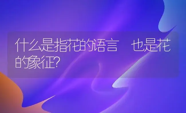 什么是指花的语言 也是花的象征？ | 绿植常识