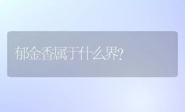 郁金香属于什么界？ | 绿植常识