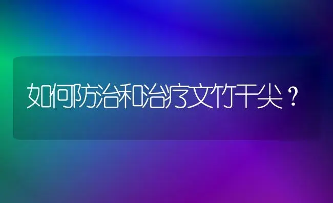 如何防治和治疗文竹干尖？ | 家庭养花