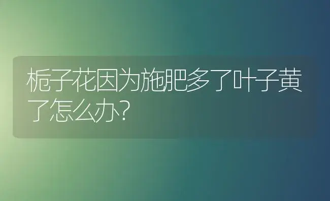 栀子花因为施肥多了叶子黄了怎么办？ | 绿植常识