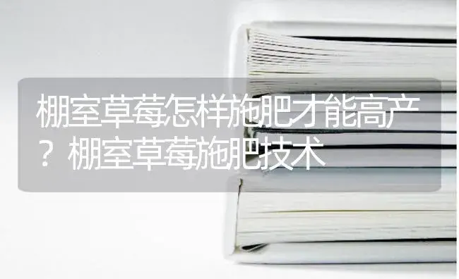 棚室草莓怎样施肥才能高产？棚室草莓施肥技术 | 果木种植