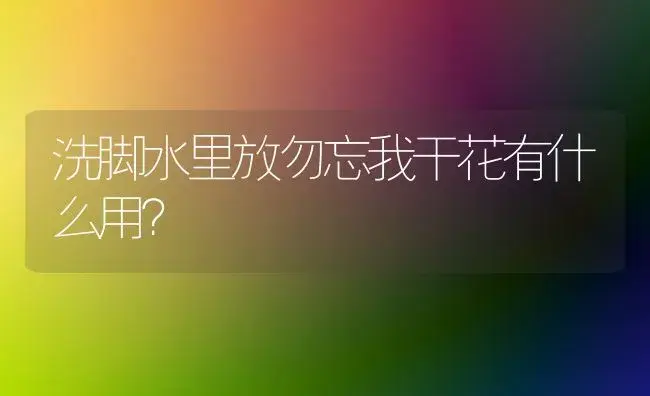 洗脚水里放勿忘我干花有什么用？ | 绿植常识