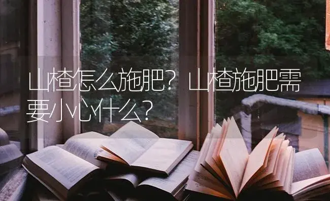 山楂怎么施肥？山楂施肥需要小心什么？ | 果木种植