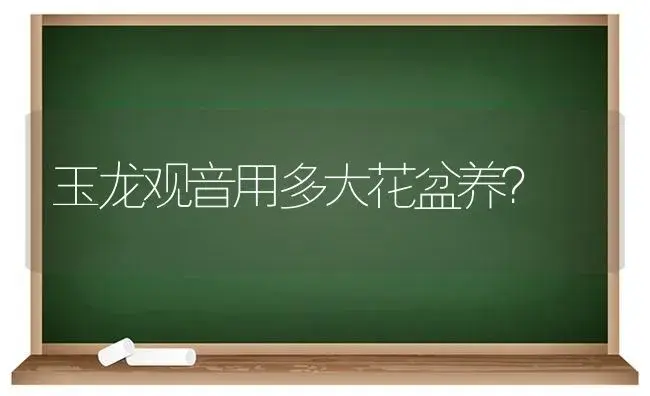 玉龙观音用多大花盆养？ | 多肉养殖