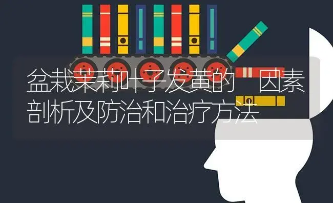 盆栽茉莉叶子发黄的 因素剖析及防治和治疗方法 | 特种种植