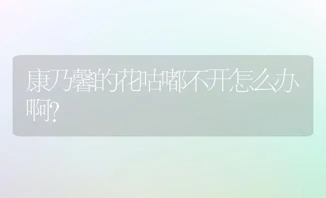 康乃馨的花咕嘟不开怎么办啊？ | 绿植常识