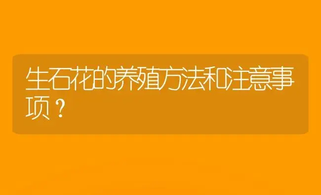 生石花的养殖方法和注意事项？ | 多肉养殖